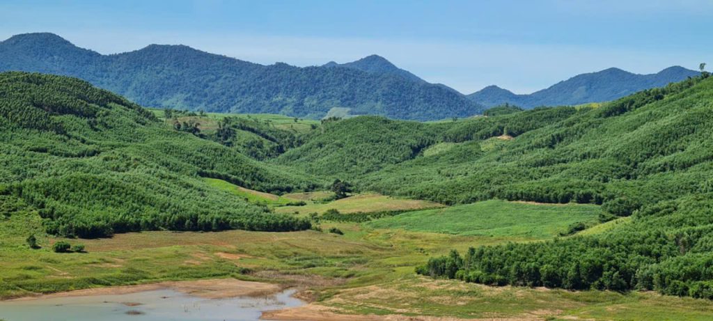 Bảo vệ: Báo cáo tài chính quý 3 năm 2025