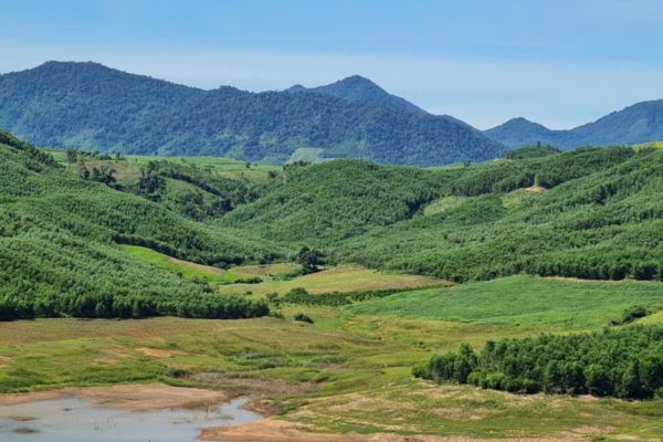 Bảo vệ: Báo cáo tài chính quý 3 năm 2025